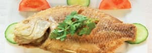 Ca Chien : Fisch